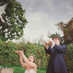 Verschönern Sie Ihren Hochzeitstag durch das steigen lassen von Hochzeitstauben in Dresden und Umgebung