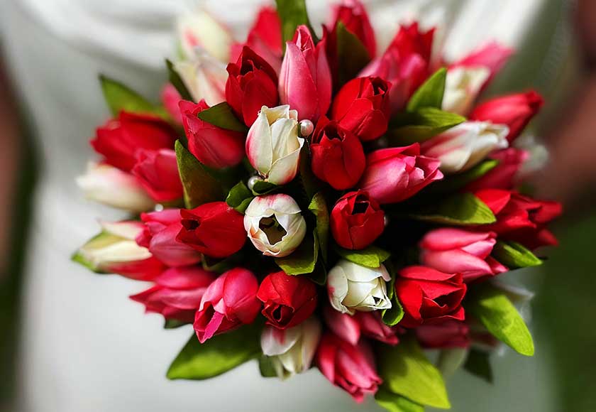 nachhaltiger Blumenversand nachhaltiger Blumenversand