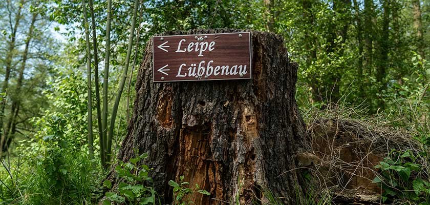 Hochzeit im Spreewald